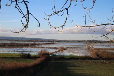 UK – Government Declares Major Incident Over Flood Risk in Somerset – FloodList