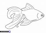 Goldfish coloring Sheet  Free Printable pages sketch template