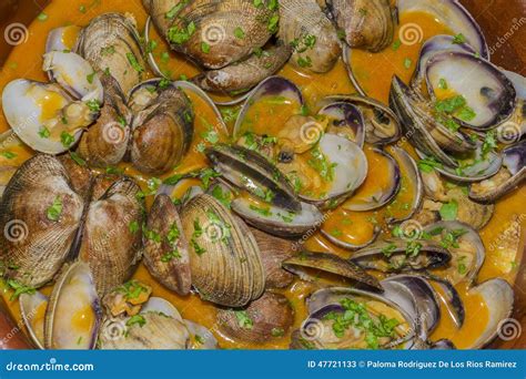 Clams with sauce stock image. Image of chowder, mussels - 47721133