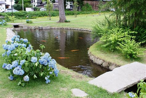 Fish Pond in Garden Fish Ponds Backyard, Fountains Backyard, Backyard ...