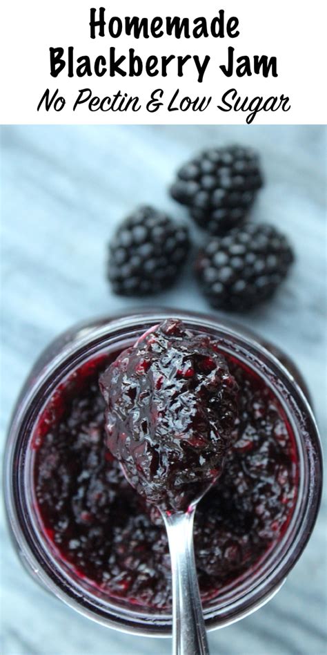 Elderberry Jelly Recipe Without Pectin - Baked Veggies