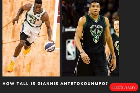 Giannis Antetokounmpo Wingspan Comparison