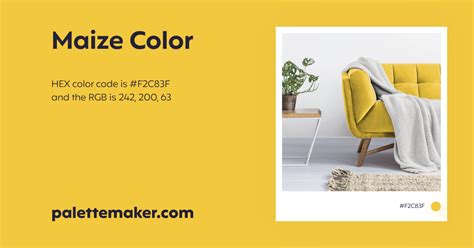 Maize Color - HEX #F2C83F Meaning and Live Previews - PaletteMaker