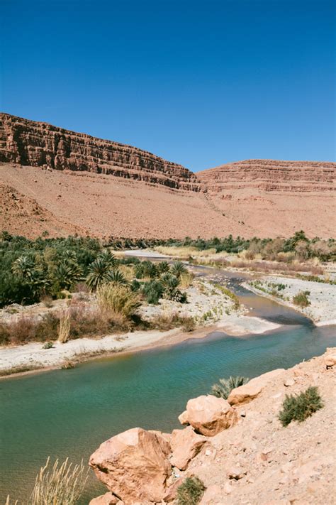 Oasis in Morocco - Entouriste