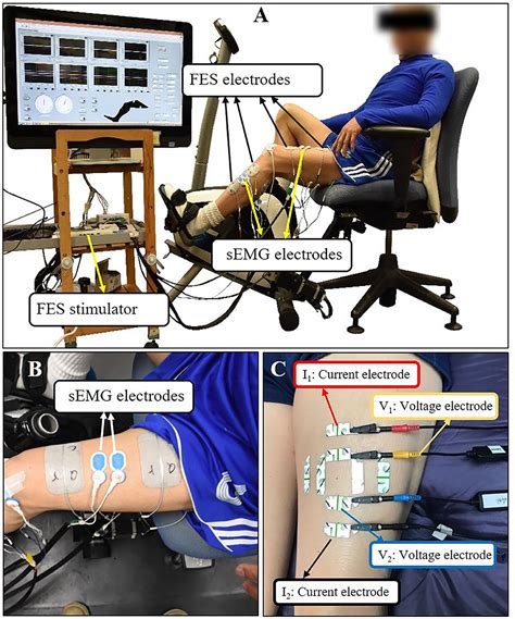 Frontiers | Muscle Electrical Impedance Properties and Activation ...