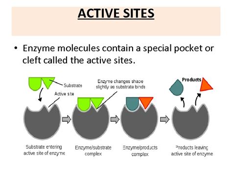 Enzyme Structure classification and mechanism of action