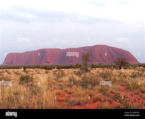 View of Uluru also known as Ayers Rock just after sunrise part of the Uluṟu-Kata Tjuṯa National ...