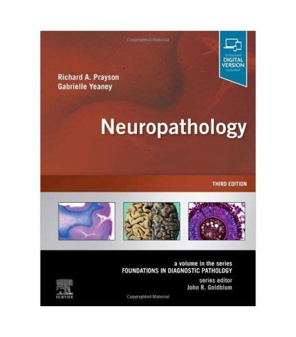 Neuropathology A Volume In The Series Foundations In Diagnostic ...