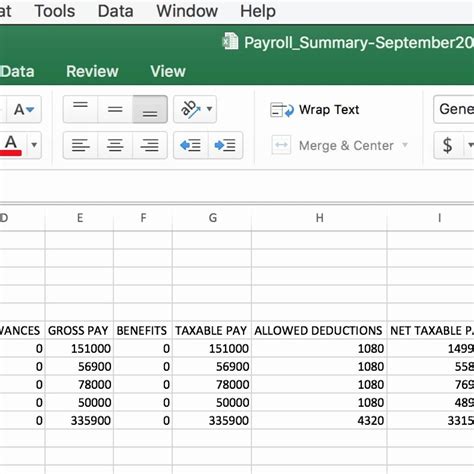 Payroll Summary Report Template