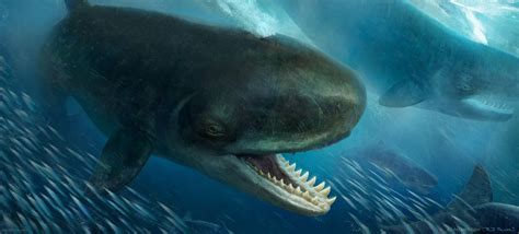 Livyatan by RJ Palmer on ArtStation | Prehistoric animals, Prehistoric wildlife, Prehistoric ...