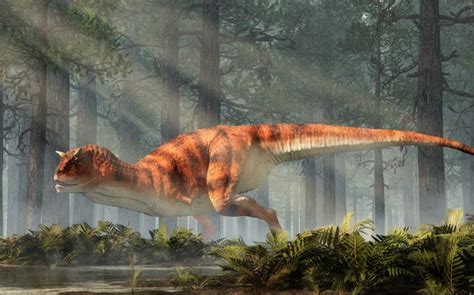 10 Dinosaurs With Horns - WikiPoint - Wiki Point