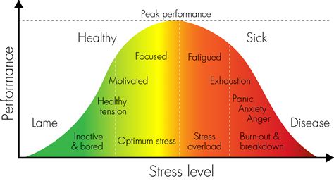 What's stress got to do with it? - Haleo