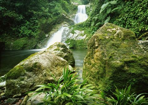 TodoCantoDoMundo: Pico Bonito National Park, em Honduras