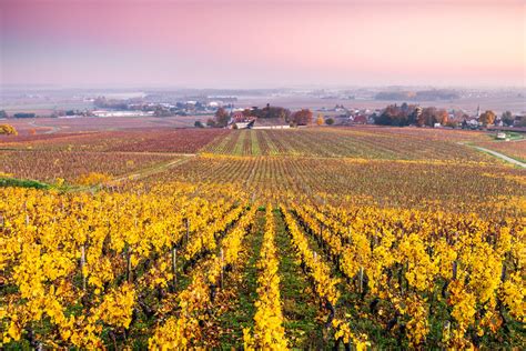 Beaune and the Burgundy Wine Region of France