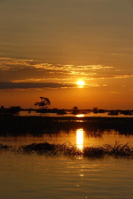 Free photo: Chobe river sunset - Birds, Botswana, Chobe - Free Download - Jooinn