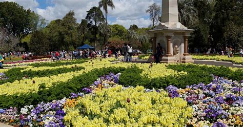 TOOWOOMBA CARNIVAL OF FLOWERS 2017 - Laguna Serviced Apartments