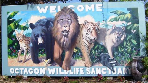 Octagon Wildlife Sanctuary