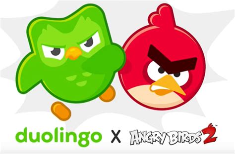 Duolingo owl joins Angry Birds in marketing crossover - Netimperative