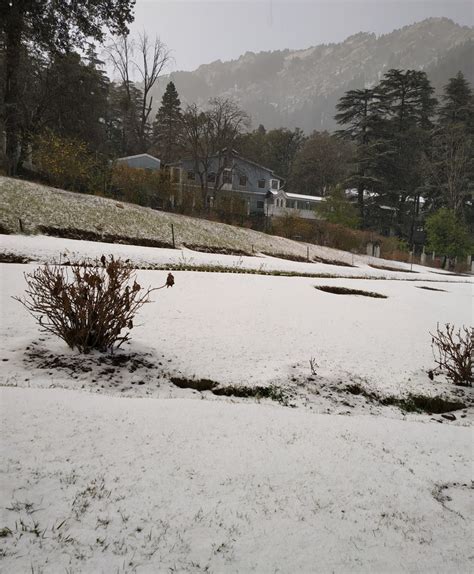 Snowfall photos of Nainital January 2019 — DUGGU