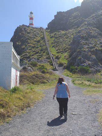 Cape Palliser Lighthouse (Wairarapa) - 2020 All You Need to Know BEFORE You Go (with Photos ...