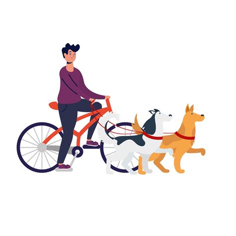 young man on bicycle with dogs 1878808 Vector Art at Vecteezy