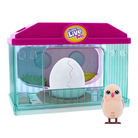 Little Live Pets - Lil' Hamster : Strawbles - Walmart.com