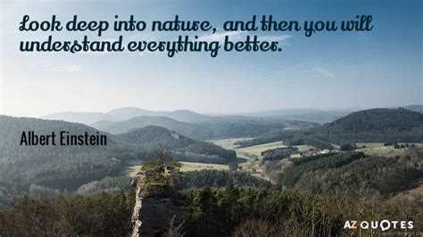 Albert Einstein quote: Look deep into nature, and then you will ...