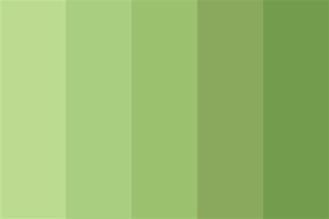 Matcha Green Color Palette