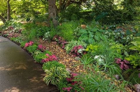 Top 20+ Rain Garden Plants | Garden Design