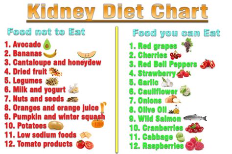 The Kidney Dietitian Oxalate Food List