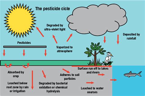 Water Pollution Caused By Agriculture