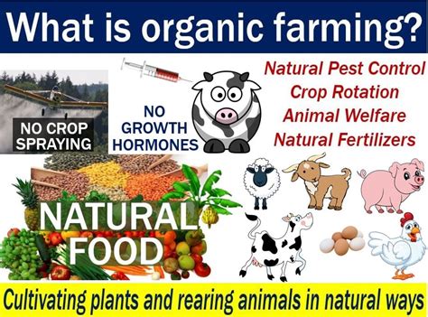 Organic farming - definition and meaning - Market Business News