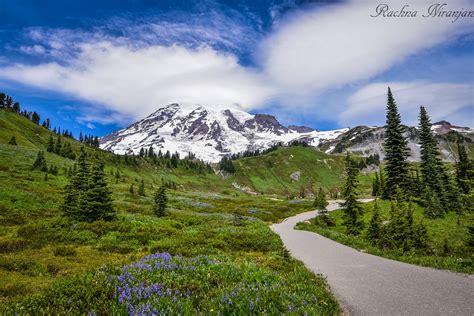 ENTERING PARADISE : Mount Rainier National Park
