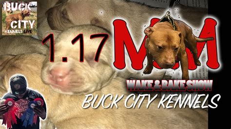 WAKE & BAKE WITH BUCK CITY KENNELS LIVE 1.17 Machobuck lineage In ...