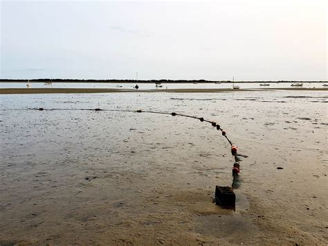 Report Finds Bacteria at Hundreds of Massachusetts Beaches - CapeCod.com