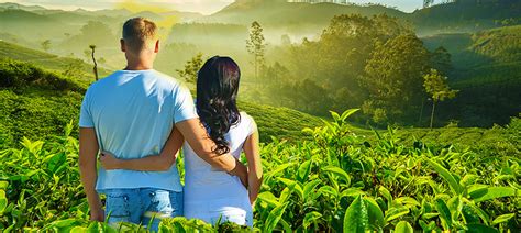 03 Star Kerala Honeymoon Tour Package – Munnar – Kerala Tour Packages ...