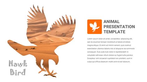 Free Hawk Bird PowerPoint Presentation Template | CiloArt