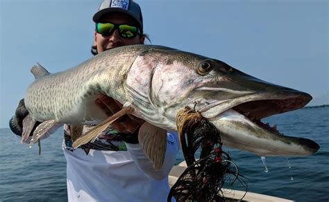 A Trout Fisherman's Guide to Muskie Fishing - RENZETTI