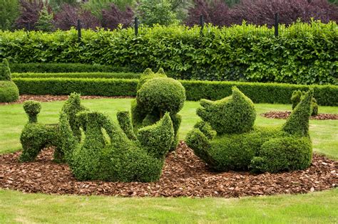 53 Stunning Topiary Trees, Gardens, Plants and Other Shapes