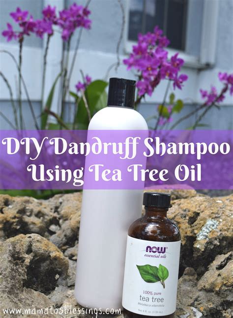 DIY Dandruff Shampoo Using Tea Tree Oil - Mama to 6 Blessings | Tea ...