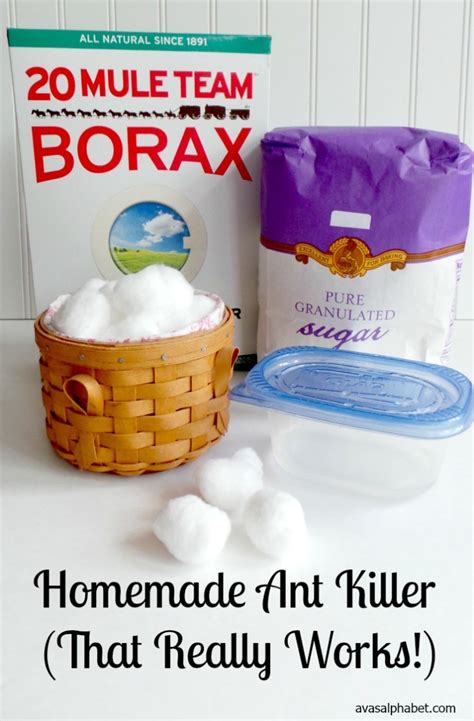 Homemade Ant Killer (That Really Works!) - Ava's Alphabet