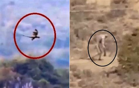 Weird !! You Will Not Believe what Caught On Camera Unexplained ...