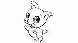 Free Printable Coloring Pages Of Pigs sketch template