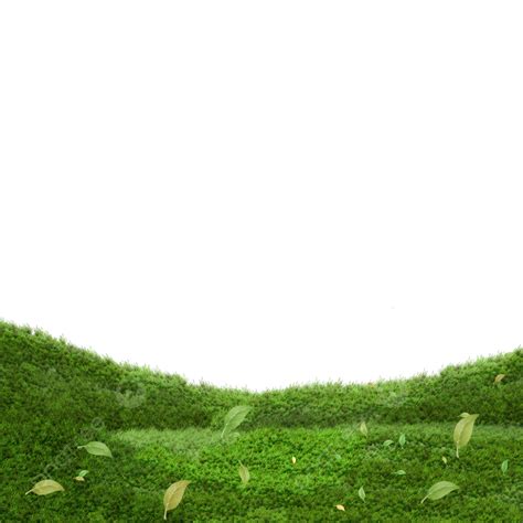 庭と緑の草の図イラスト画像とPSDフリー素材透過の無料ダウンロード - Pngtree
