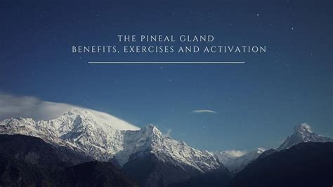 The Pineal Gland - Benefits, Exercises and Activation