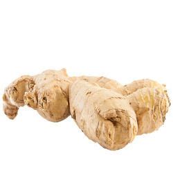 Ginger Seeds at Best Price in India