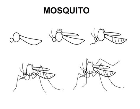 26+ realistic mosquito drawing - ColetteLavern