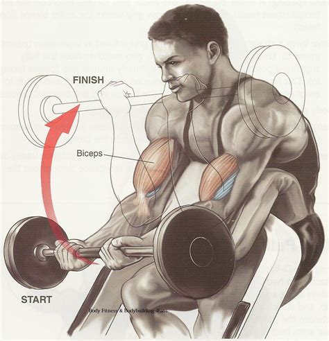 Biceps Workout Tips-Best Workout for Biceps | Bodybuilding and Fitness Zone