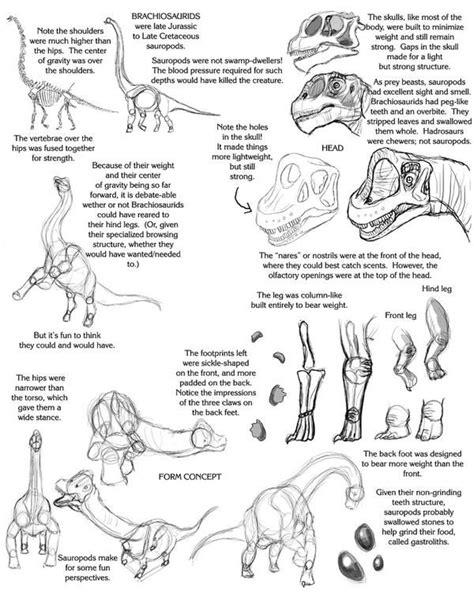 Sauropod Tutorial by Droemar on DeviantArt | Dinosaur drawing, Dinosaur ...