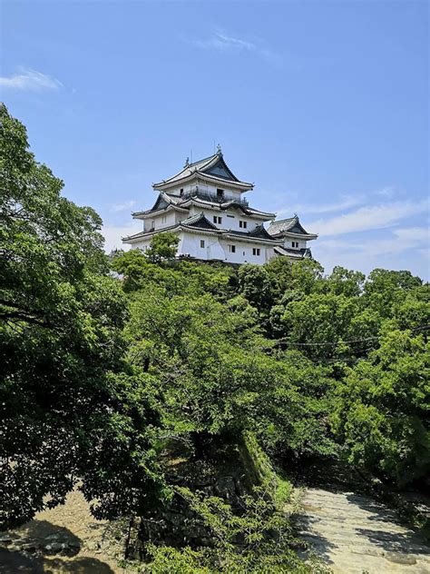 Wakayama Castle | Japan Reference